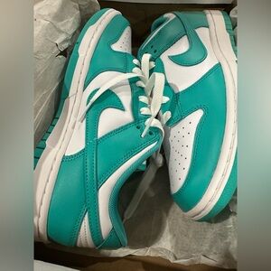 Nike Dunks Turquoise and White Sneakers